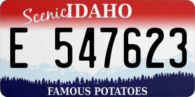 ID license plate E547623