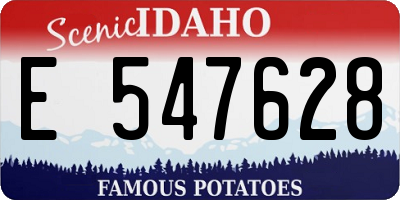 ID license plate E547628