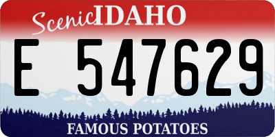 ID license plate E547629