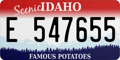 ID license plate E547655