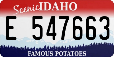 ID license plate E547663