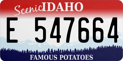 ID license plate E547664