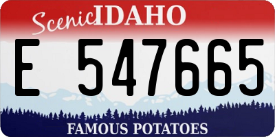ID license plate E547665