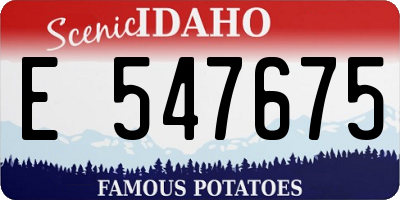 ID license plate E547675