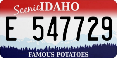 ID license plate E547729