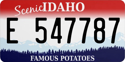 ID license plate E547787