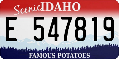 ID license plate E547819
