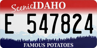 ID license plate E547824