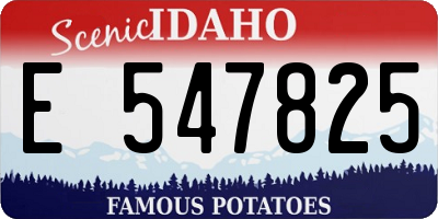 ID license plate E547825