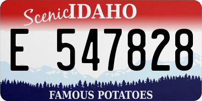 ID license plate E547828