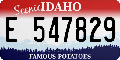 ID license plate E547829
