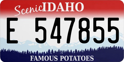 ID license plate E547855