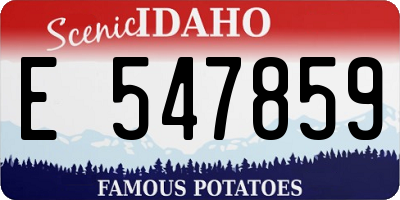 ID license plate E547859