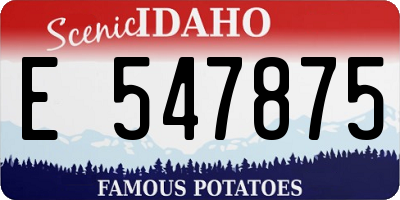 ID license plate E547875