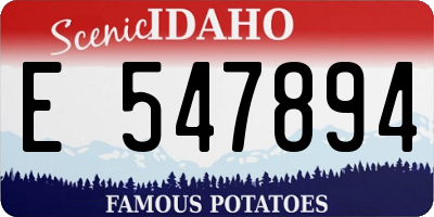ID license plate E547894