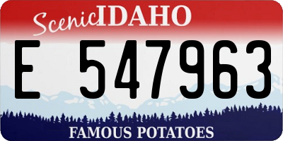 ID license plate E547963