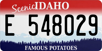 ID license plate E548029