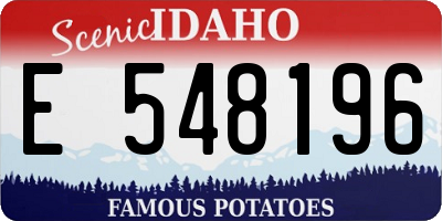 ID license plate E548196