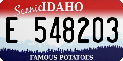 ID license plate E548203
