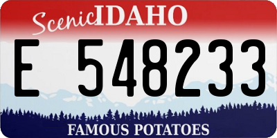 ID license plate E548233