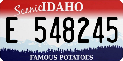 ID license plate E548245