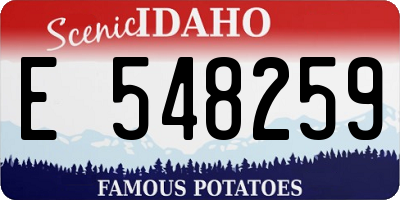 ID license plate E548259