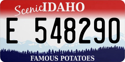 ID license plate E548290