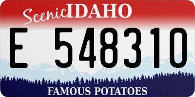 ID license plate E548310