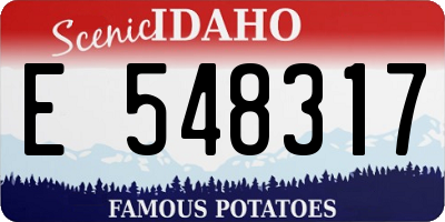 ID license plate E548317