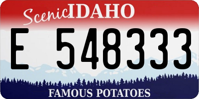 ID license plate E548333