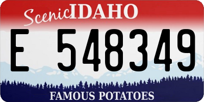 ID license plate E548349