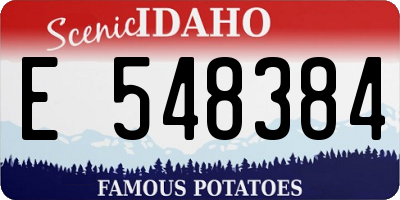 ID license plate E548384