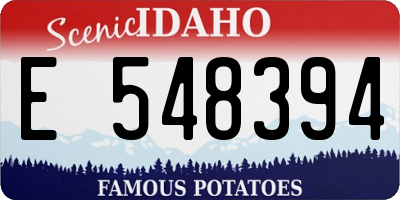 ID license plate E548394
