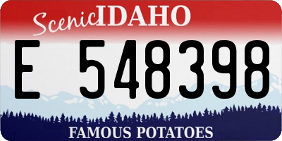 ID license plate E548398