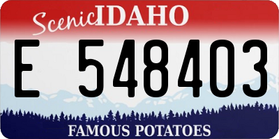 ID license plate E548403