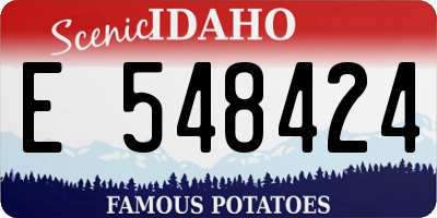 ID license plate E548424