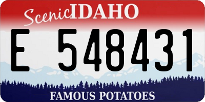 ID license plate E548431