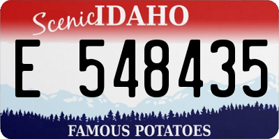 ID license plate E548435
