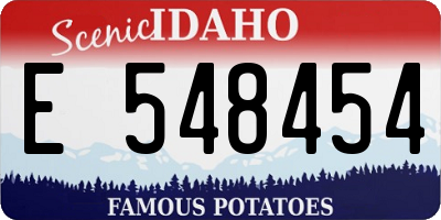 ID license plate E548454