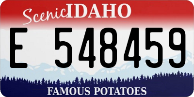 ID license plate E548459