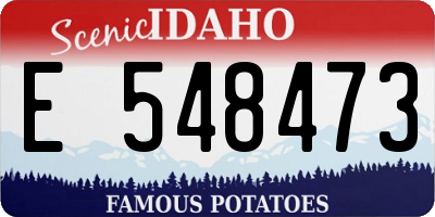 ID license plate E548473