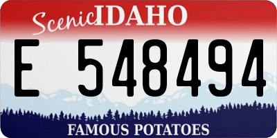ID license plate E548494