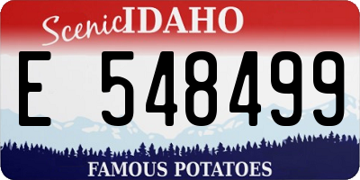 ID license plate E548499