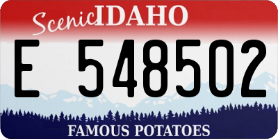ID license plate E548502