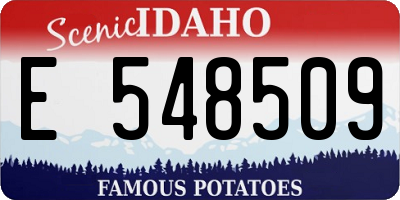 ID license plate E548509