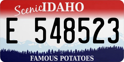 ID license plate E548523