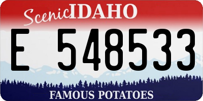 ID license plate E548533