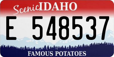 ID license plate E548537