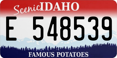 ID license plate E548539
