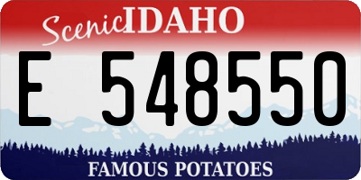 ID license plate E548550